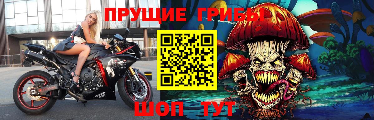 Дедовск  Псилоцибиновые грибы GOLDEN TEACHER  Вход с VPN 